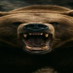 عملاق امريكا الشمالية