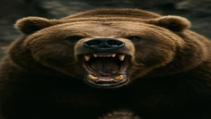 عملاق امريكا الشمالية